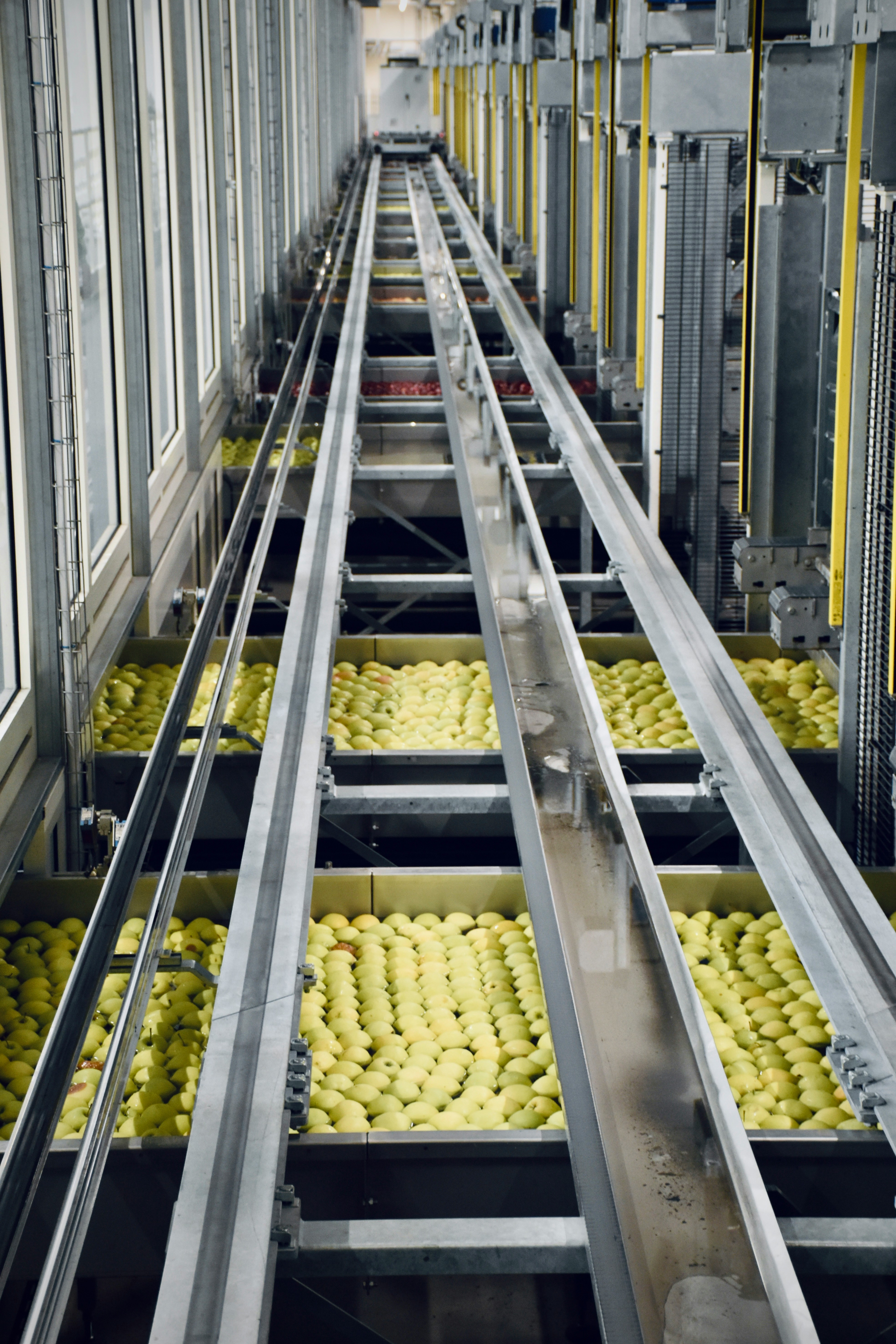 Food processing facility